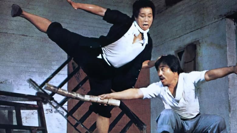 Backdrop from My Kung Fu 12 Kicks