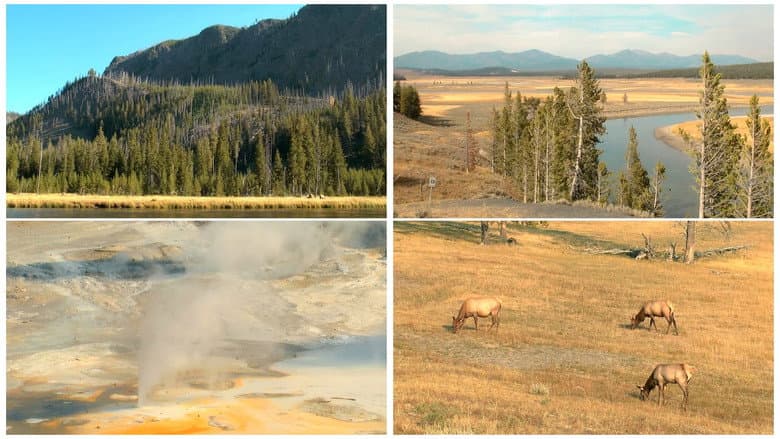 Backdrop from World Natural Heritage USA: Yellowstone National Park