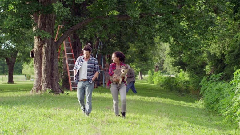 Backdrop from Night of the Wild