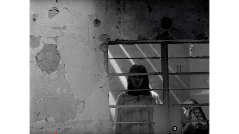 Backdrop from In the Darkness Someone Awaits for a Luminous Day