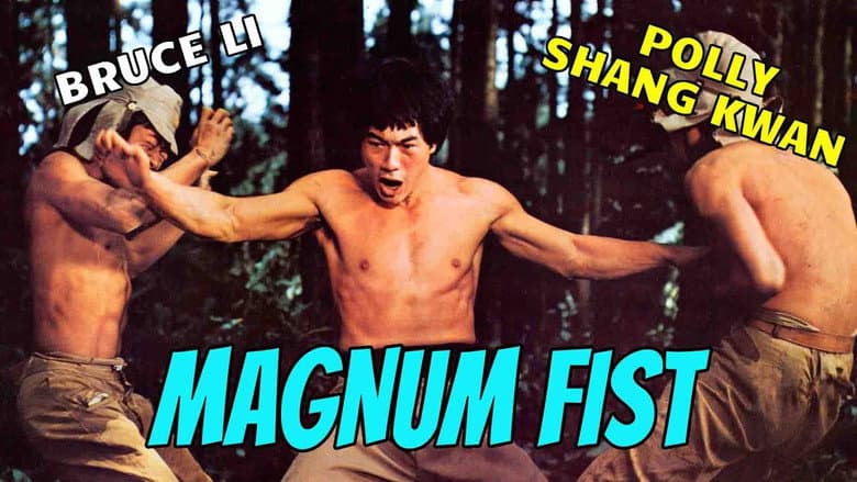Backdrop from Bruce Li's Magnum Fist