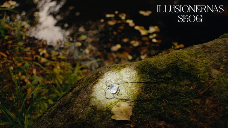 Backdrop from Forest of Illusions