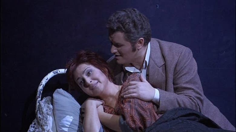 Backdrop from Verdi La Traviata