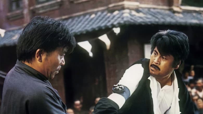 Backdrop from The Master of Kung Fu