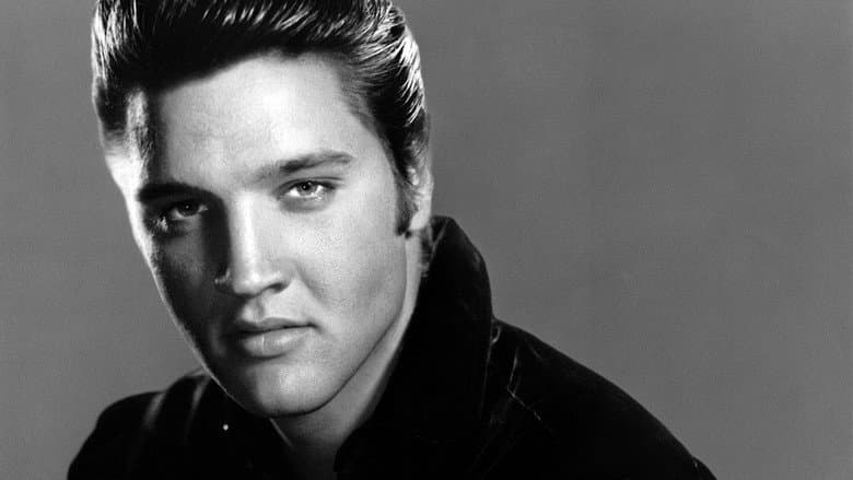 Backdrop from Altered by Elvis