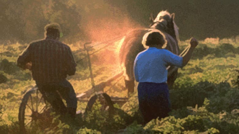 Backdrop from The Farmer's Time on Earth