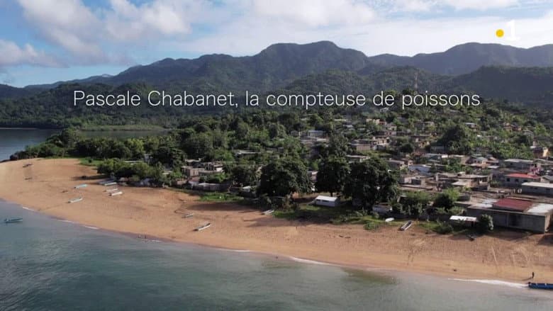 Backdrop from Pascale Chabanet, la compteuse de poissons