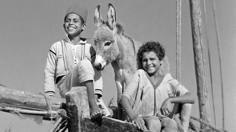 Backdrop from Bim, the Little Donkey