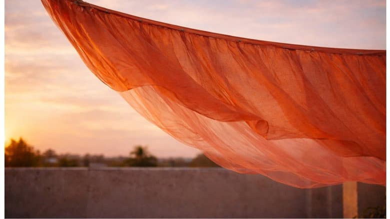Backdrop from A Gentle Wind