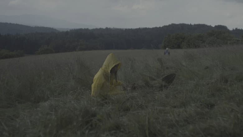 Backdrop from Soil Stories