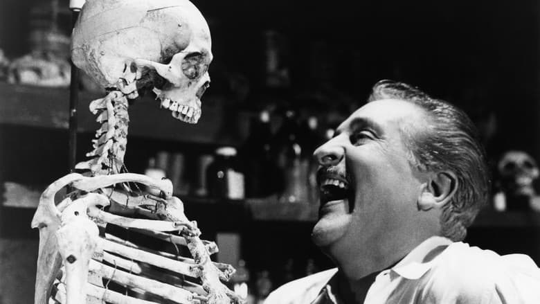 Backdrop from The Skeleton of Mrs. Morales