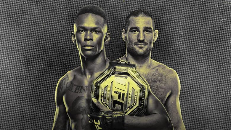 Backdrop from UFC 293: Adesanya vs. Strickland