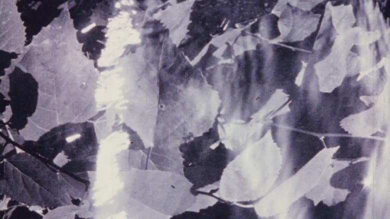 Backdrop from Isolation
