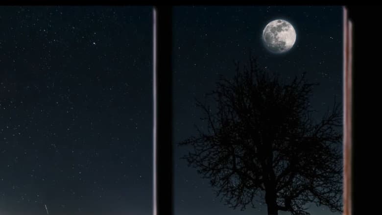 Backdrop from Moon Town