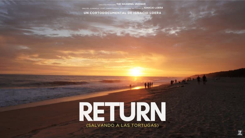Backdrop from Return: Saving Turtles