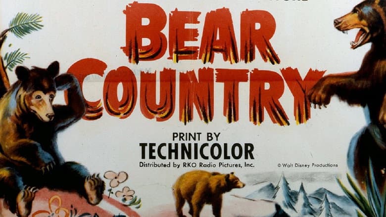 Backdrop from Bear Country