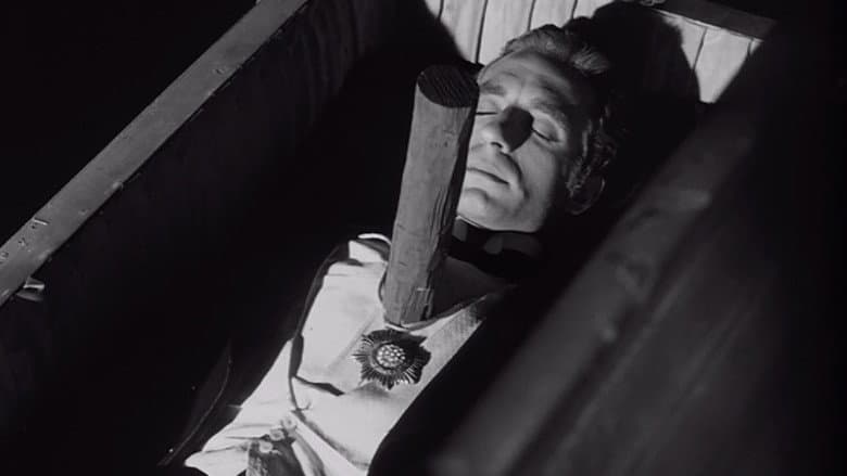 Backdrop from The Vampire's Coffin
