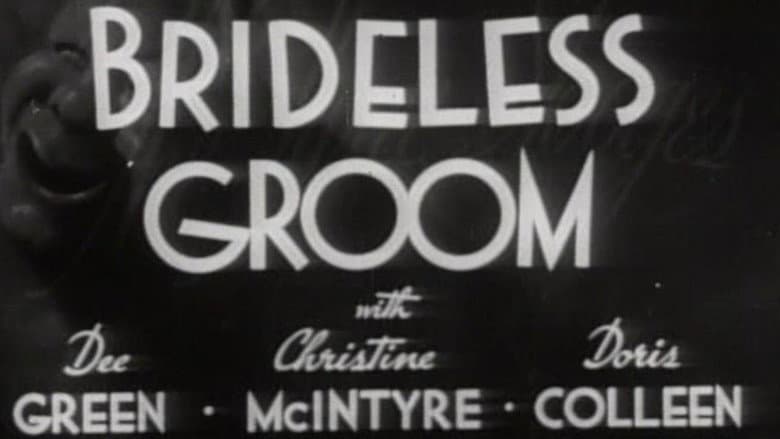 Backdrop from Brideless Groom