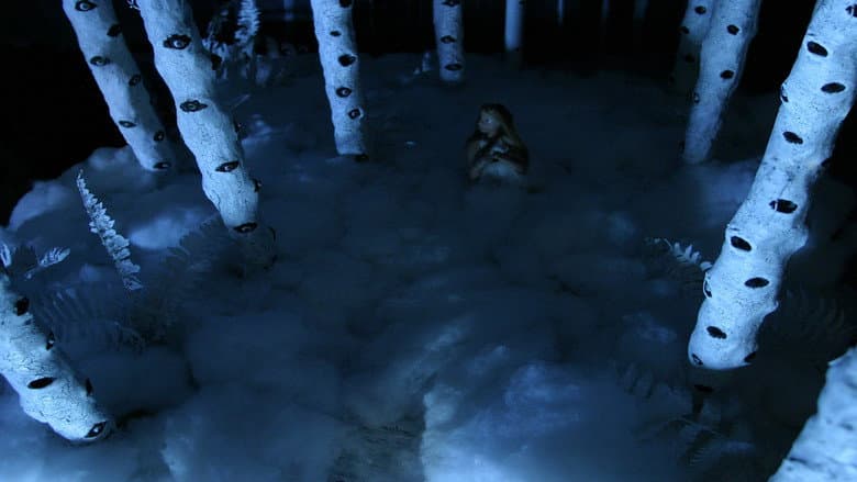 Backdrop from Forest