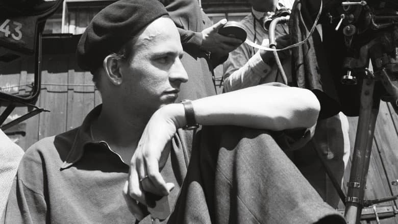 Backdrop from Bergman: A Year in a Life