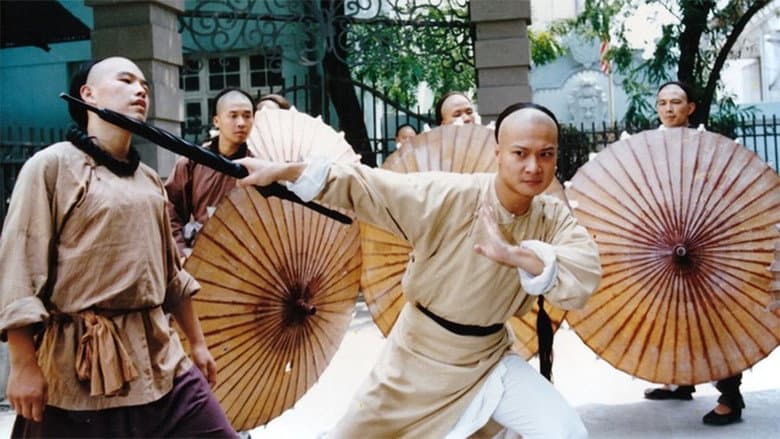 Backdrop from Martial Arts Master Wong Fei Hung