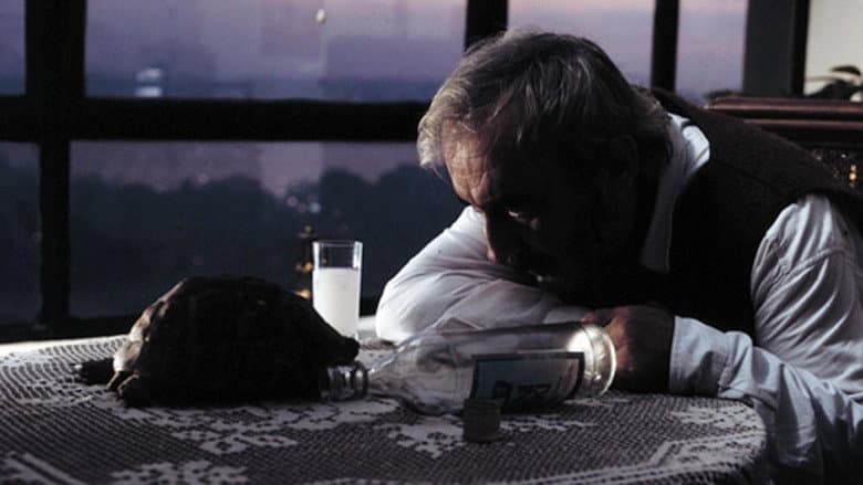 Кадр із фільму «The Unforgettable Director of Love Movies»