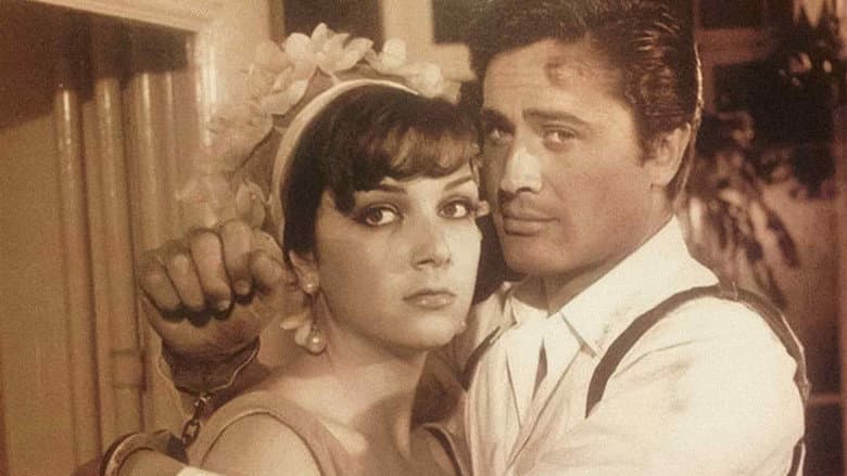 Backdrop from Ruby-Eyed Cat