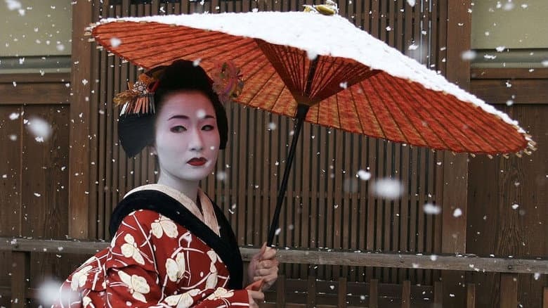 Backdrop from The Secret Life of Geisha