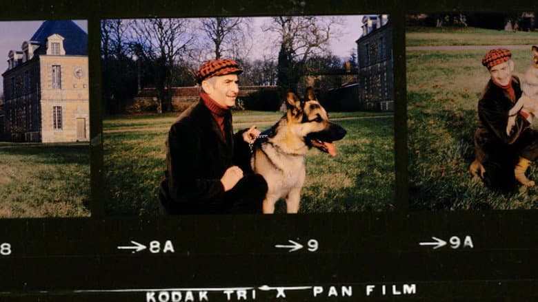 Backdrop from La Folle Aventure de Louis de Funès