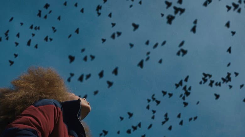 Backdrop from Broken Bird