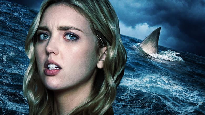 Backdrop from Shark Season