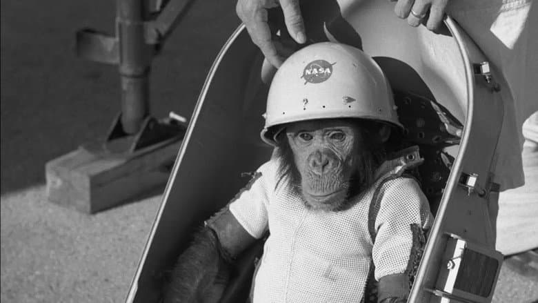 Кадр із фільму «One Small Step: The Story of the Space Chimps»