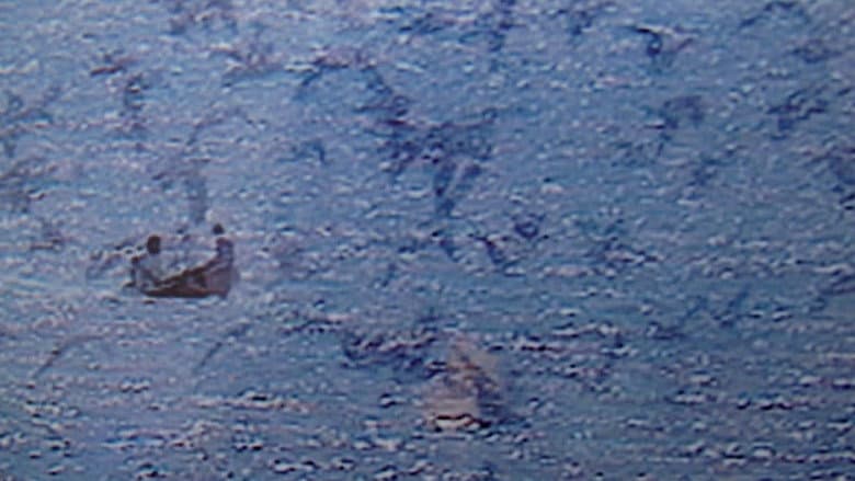 Backdrop from The Chimera of the Coast