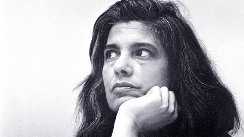 Backdrop from Regarding Susan Sontag