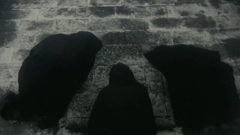 Backdrop from Sunt lacrimae rerum