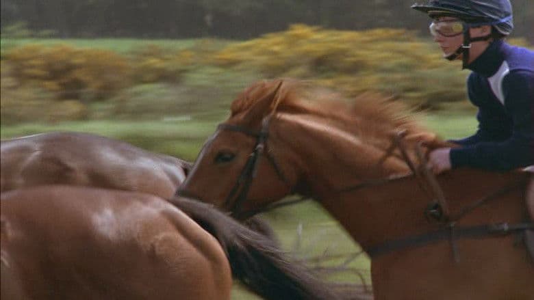 Backdrop from Shergar