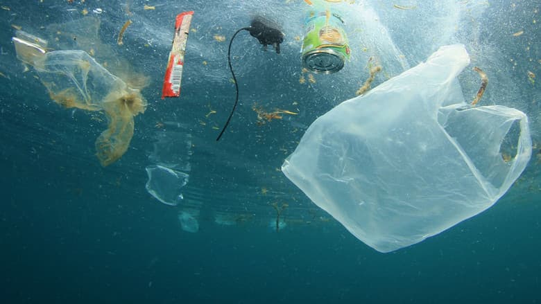 Backdrop from A Plastic Ocean