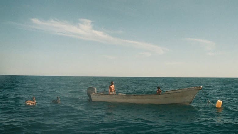 Backdrop from Mermaid Season