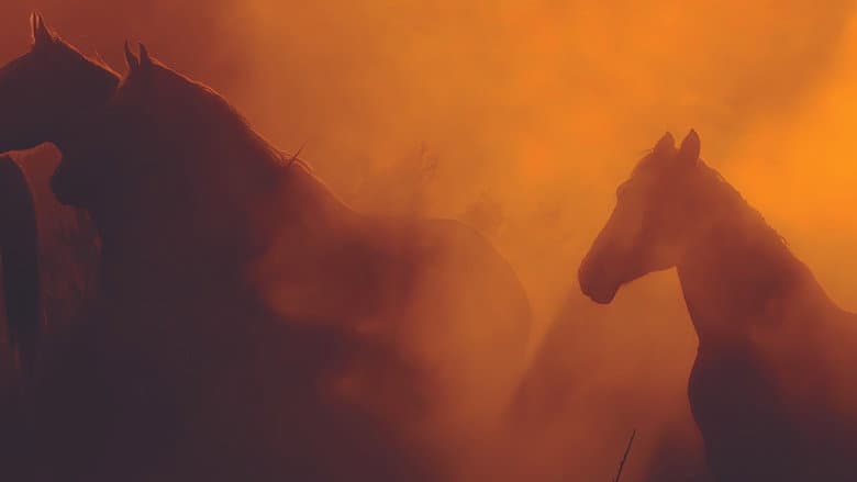 Backdrop from Wild Beauty: Mustang Spirit of the West