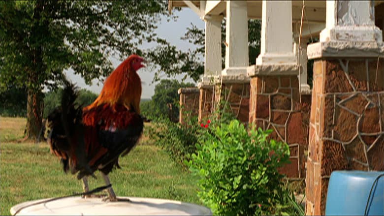 Backdrop from The Round and Round