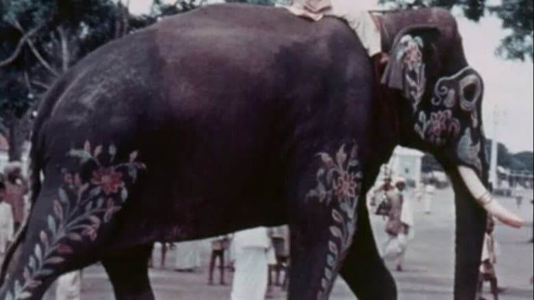 Backdrop from Mysore