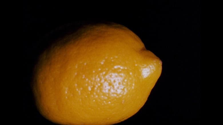 Backdrop from Lemon