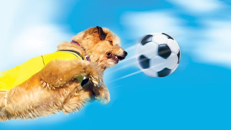 Backdrop from Soccer Dog 2: European Cup