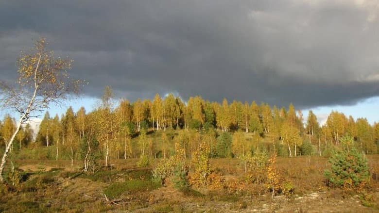 Backdrop from The Blue Hills
