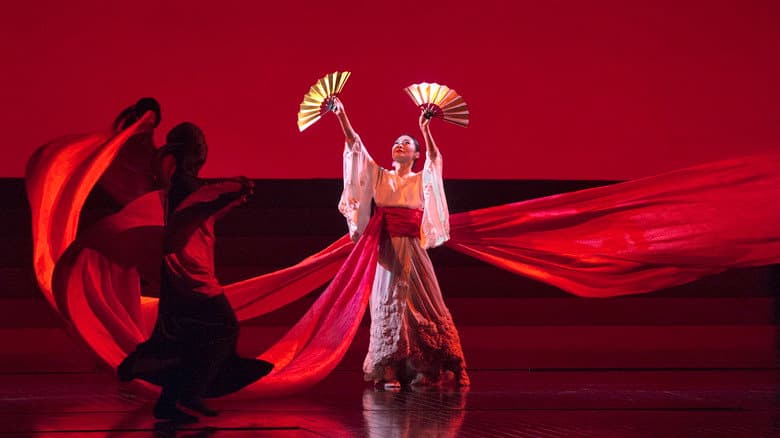 Backdrop from The Metropolitan Opera: Madama Butterfly