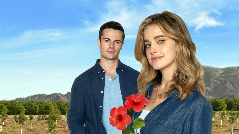 Backdrop from Flowers & Honey