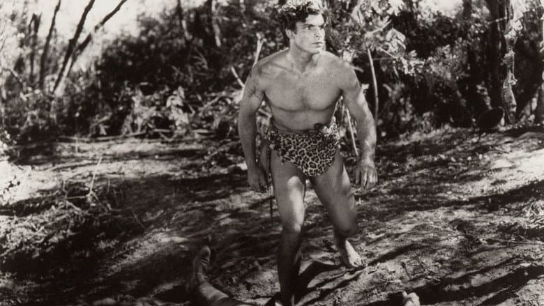 Backdrop from Tarzan: Silver Screen King of the Jungle