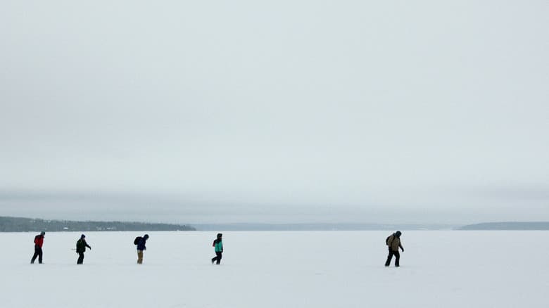 Backdrop from Skating to New York