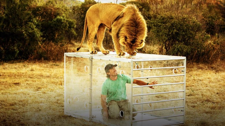 Backdrop from Man V. Lion