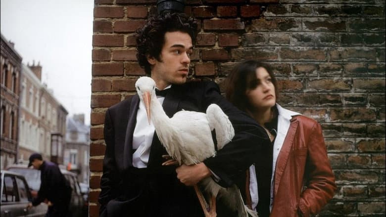 Backdrop from Children of the Stork